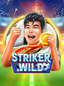 Explorando o Mundo Emocionante de StrikerWILD
